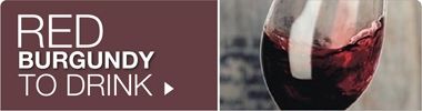 Great value, classic Red Burgundy for drinking