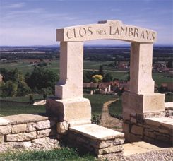 Clos des Lambrays - a nine hectare <br />grand cru of Morey-St Denis