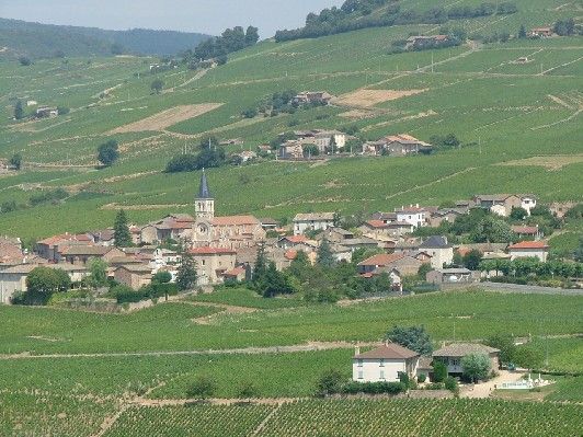 A summer's day in Beaujolias