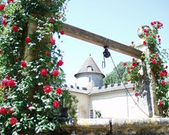 Typical Bordeaux Château